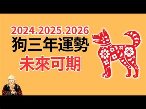 1982屬狗十年運勢|82年狗40岁后十年大运运程，82年属狗人未来十年运。